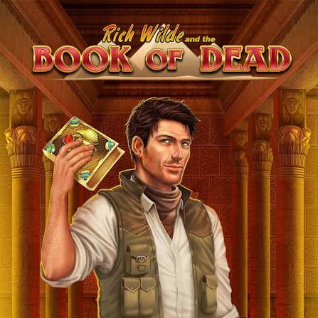 Book of Dead slot fan Play'n GO